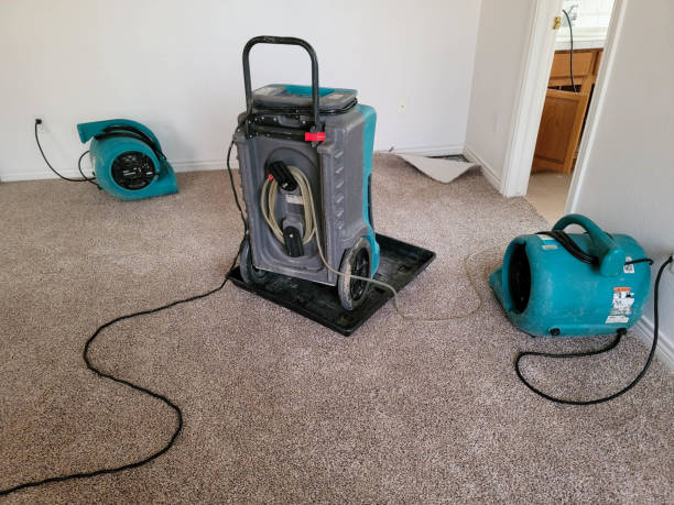 Best Water damage restoration near me  in Maywood, NJ