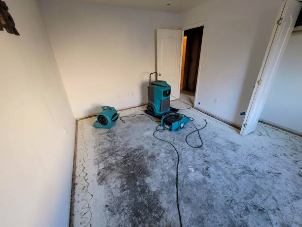 Water damage restoration mold remediation in Maywood, NJ