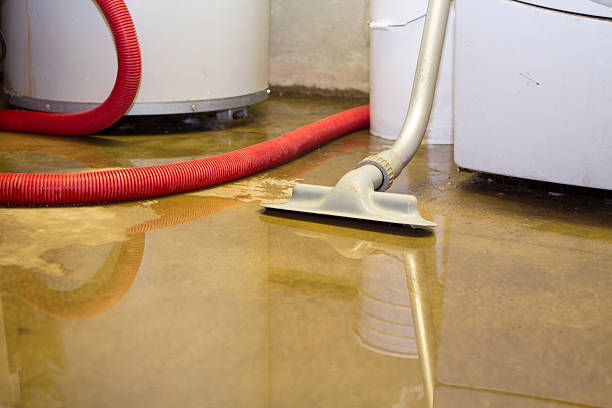 Best Carpet water damage restoration  in Maywood, NJ