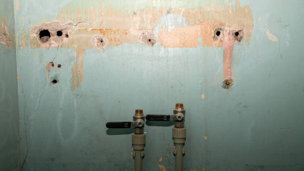 Best Water damage restoration near me  in Maywood, NJ
