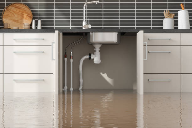Best Commercial water damage restoration  in Maywood, NJ
