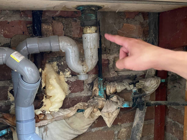 Best Water damage cleanup near me  in Maywood, NJ