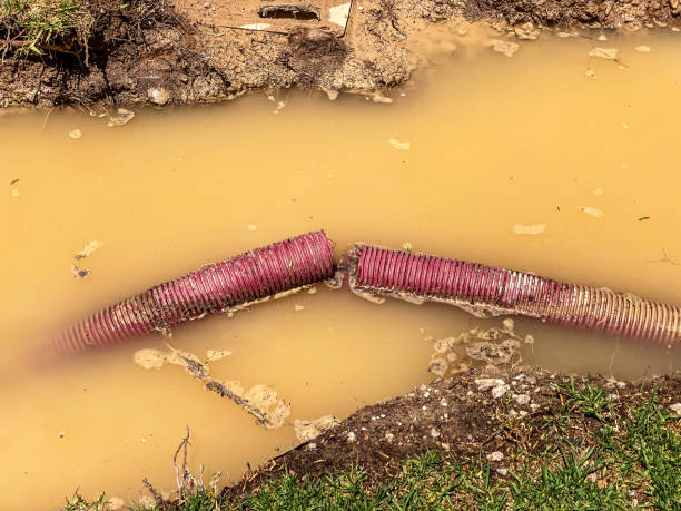 Sewage cleanup and water damage restoration in Maywood, NJ