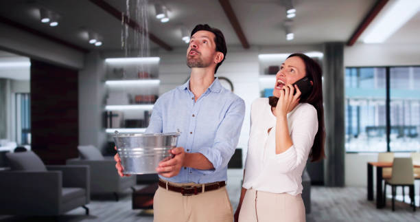 Best 24/7 water damage repair  in Maywood, NJ